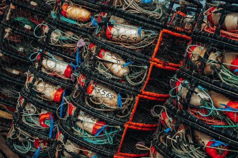 Are Fish Endangered? What You Need to Know 2 fishing net