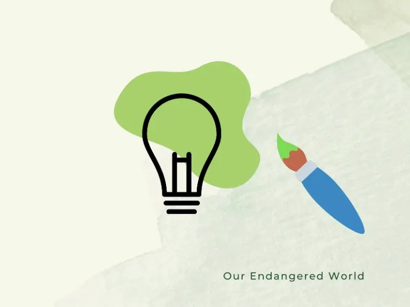 What is Green Washing? Exposing the Green Sheen 5 Lightbulb and Greenwash