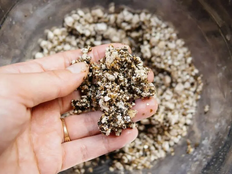 Coco Coir vs Perlite: Which is Best? 6 How Much Perlite to Add to Coco