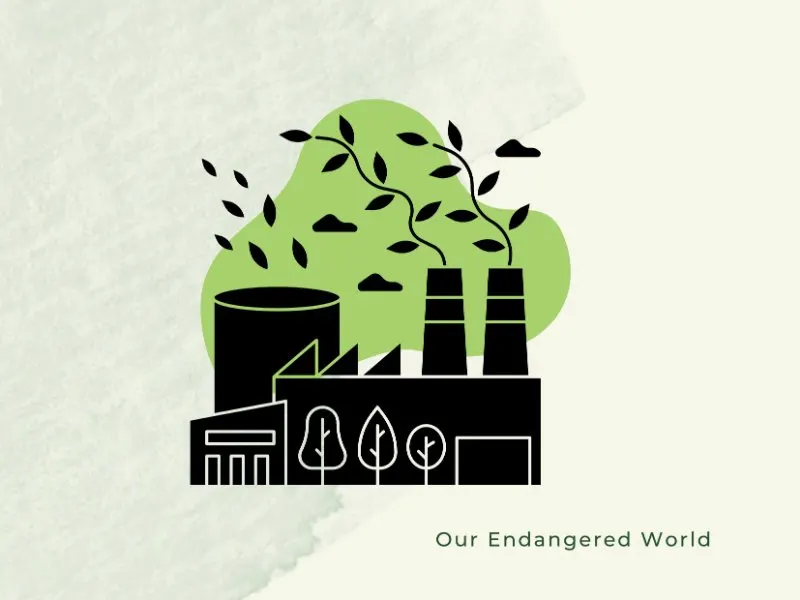 What is Green Washing? Exposing the Green Sheen 2 Greenwashing