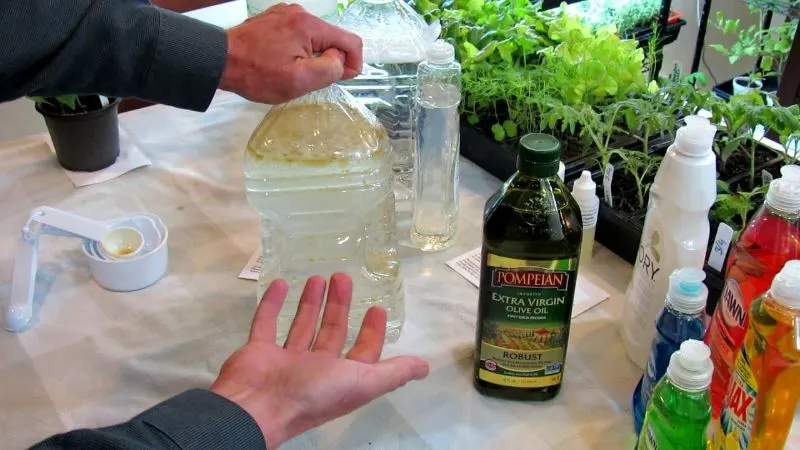 Can You Use Neem Oil on Herbs? Everything You Need to Know 3 Neem Oil On Plants