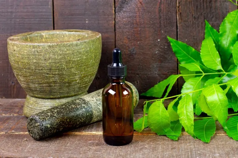 Neem oil bottle