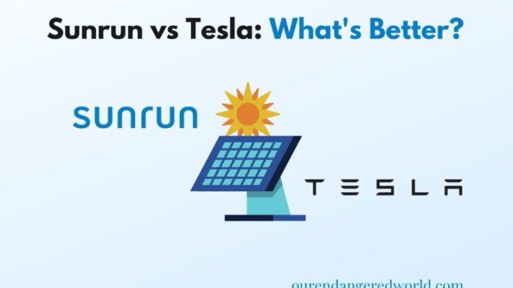 Sunrun vs Tesla