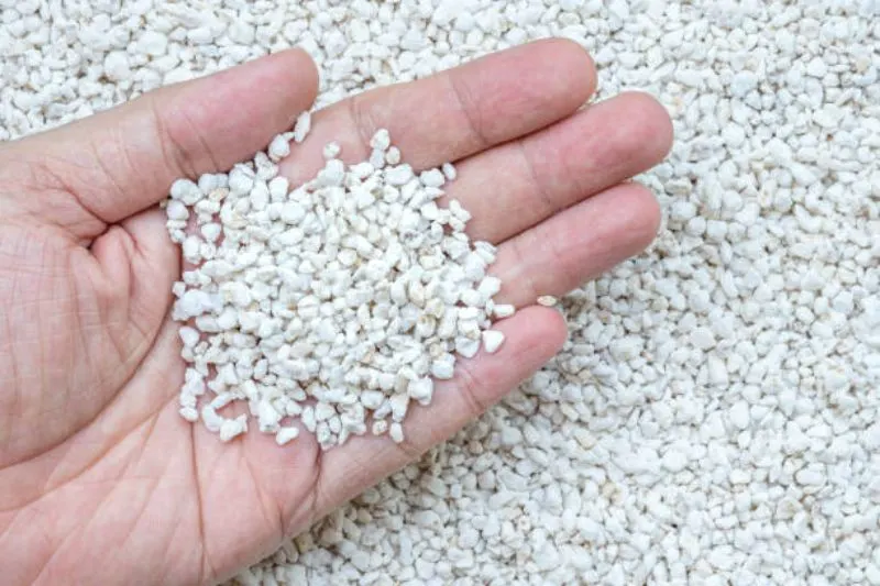 What Is Good and Bad About Perlite