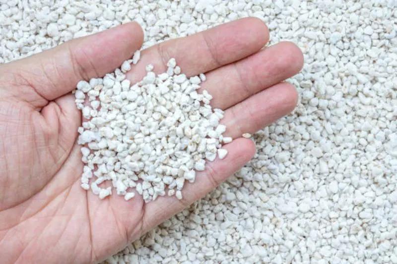 Coco Coir vs Perlite: Which is Best? 4 What Is Good and Bad About Perlite