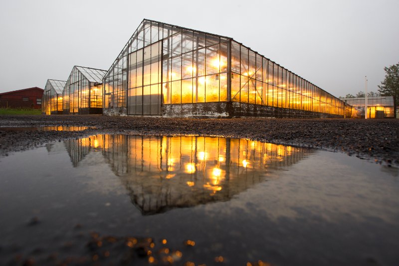 Geothermal greenhouse with lights and heating, reflection of greenhouse in water