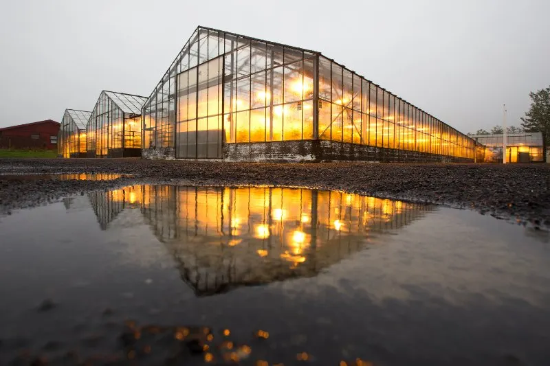 Geothermal greenhouse with lights and heating, reflection of greenhouse in water 