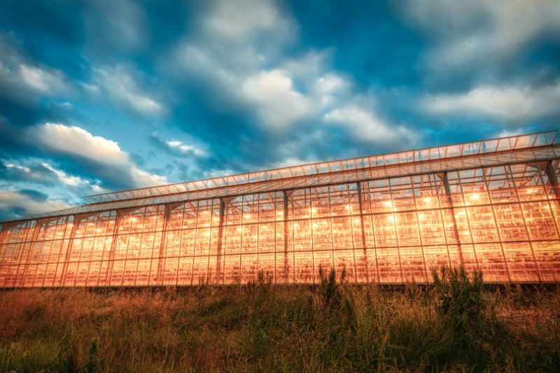 Geothermal Greenhouse all lighten up at dusk