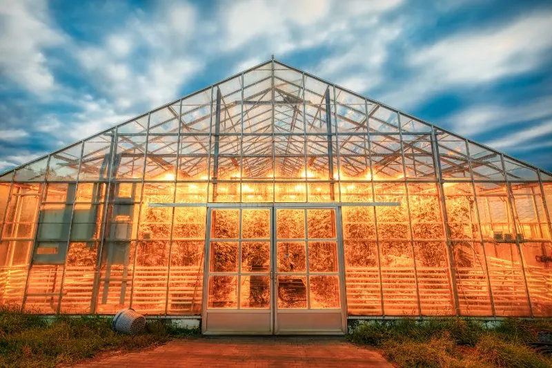 Geothermal Greenhouse at dusk, lights , blue sky,clouds