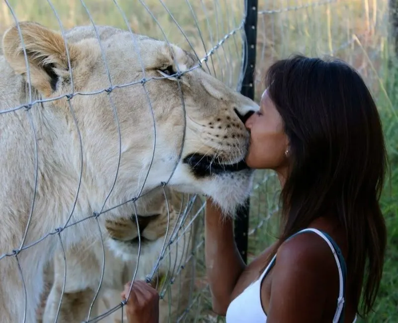 Woman kissing Lion