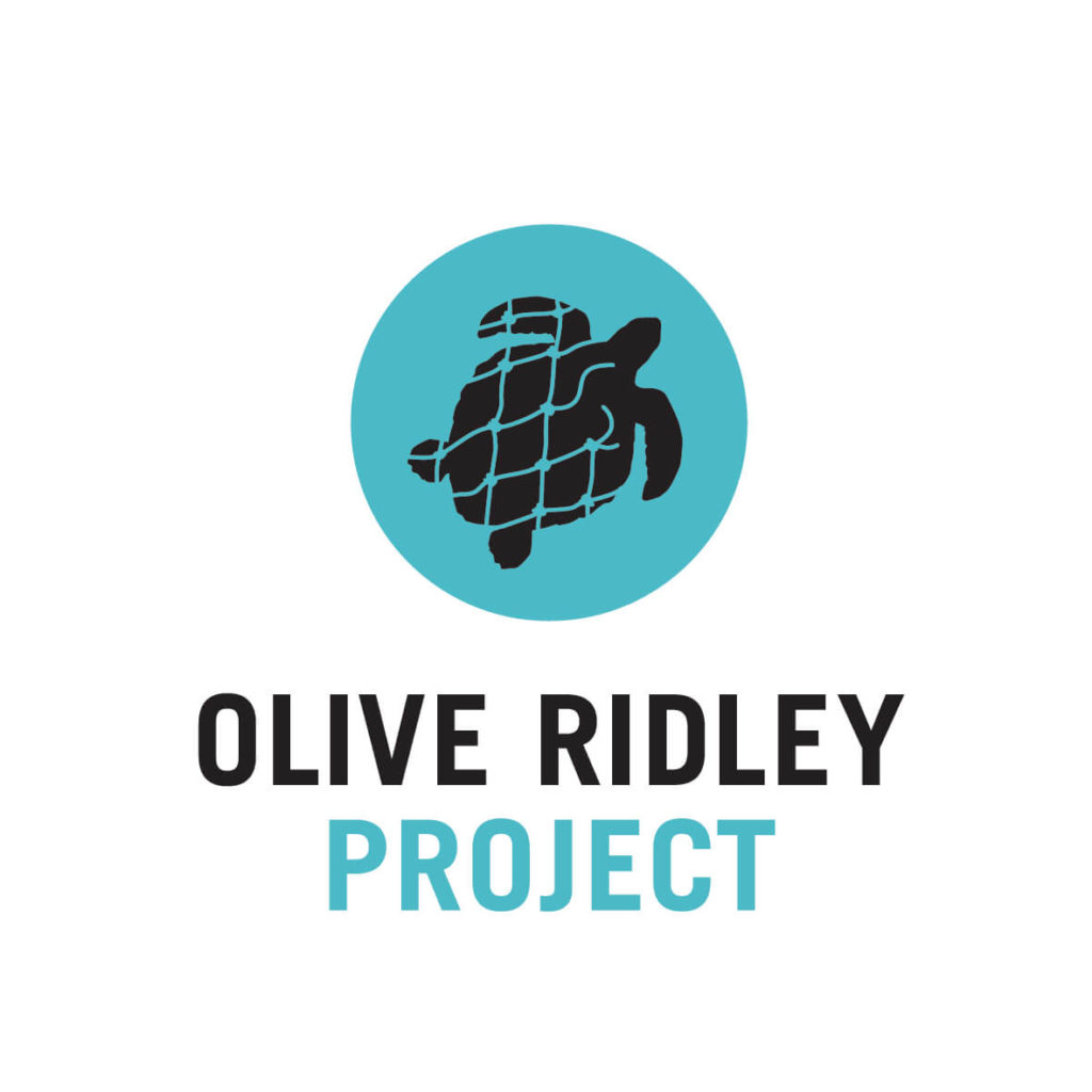 Olive Ridley Project