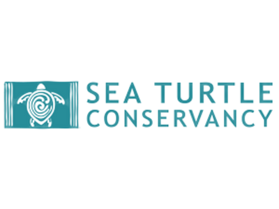 Sea Turtle Conservancy Logo