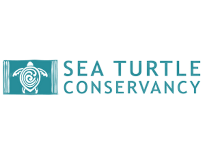 Sea Turtle Conservancy Logo