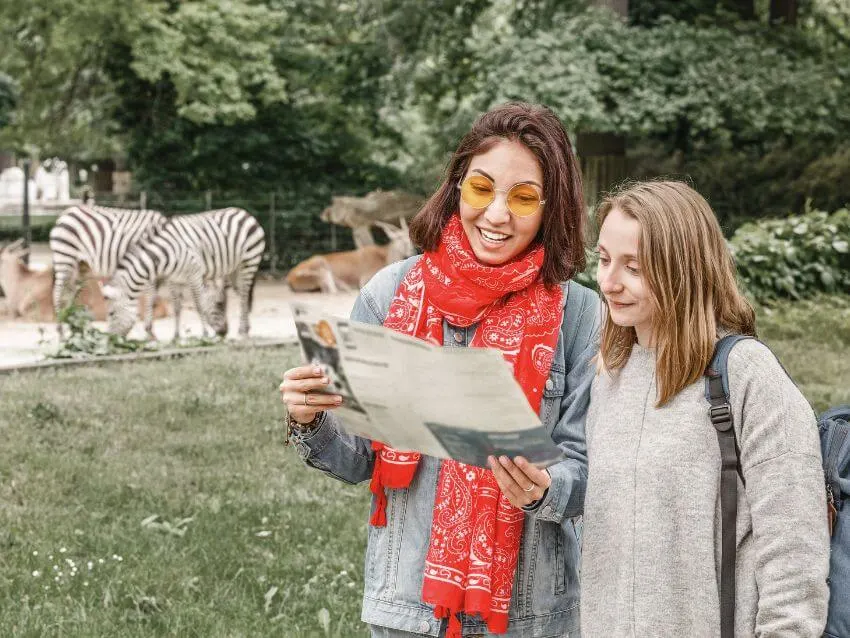 Snow Leopard: Why Is It Endangered? 5 Two Girls Friends Organization