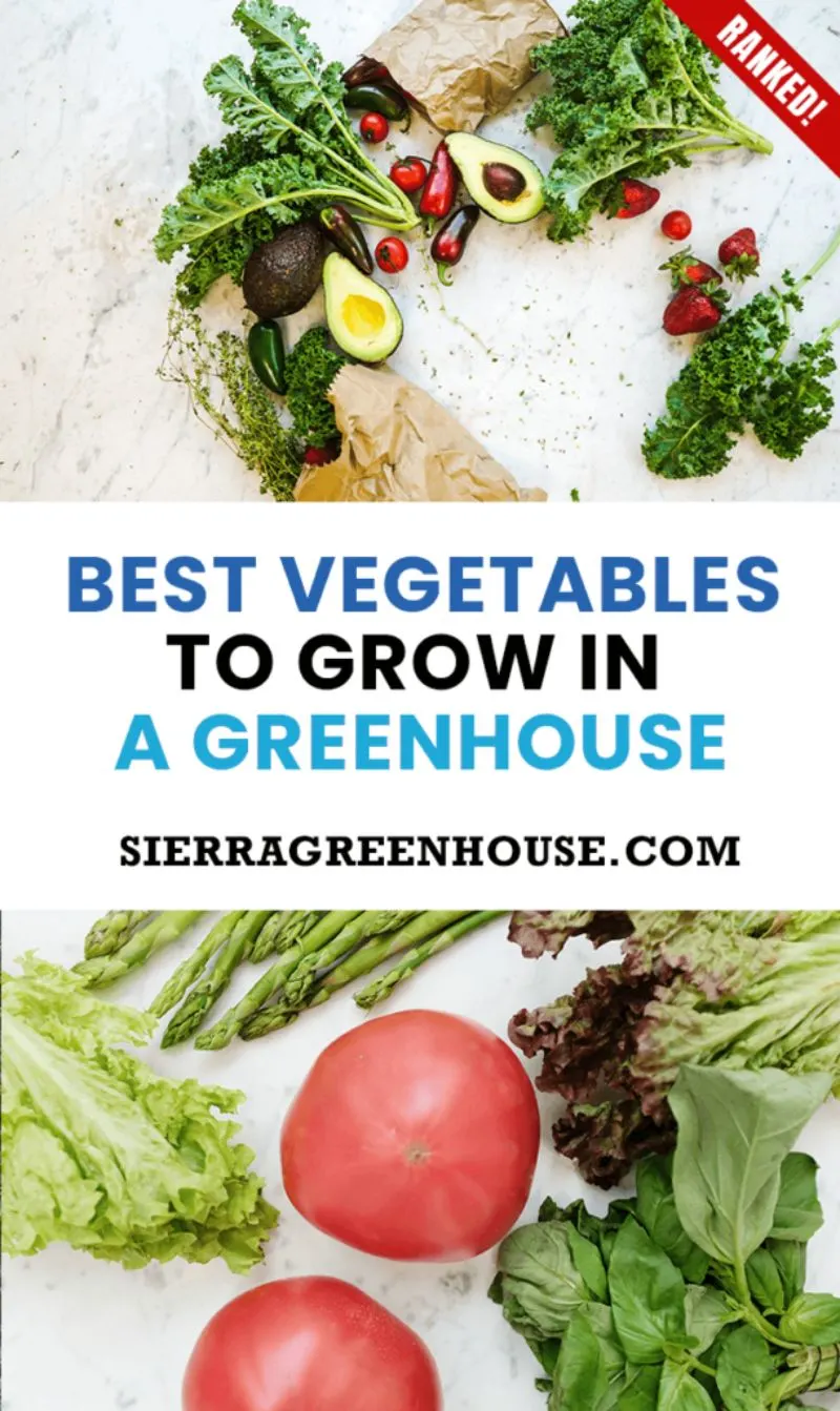 Best Vegetables to Grow in a Greenhouse