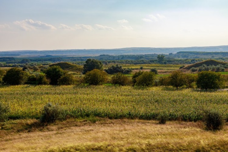 Hill Scenery