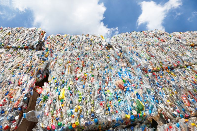 Plastic Pollution 4 Bottle pet plastic prepare to recycle