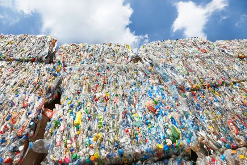 Plastic Pollution 4 Bottle pet plastic prepare to recycle