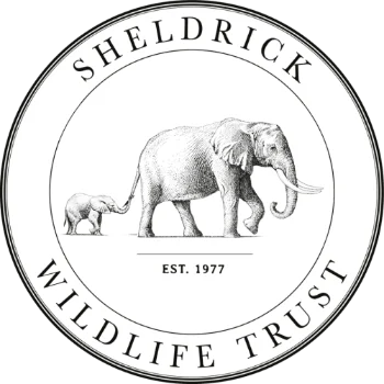 Asian Lion: Why Is It Endangered? 6 David Sheldrick Wildlife Trust Logo
