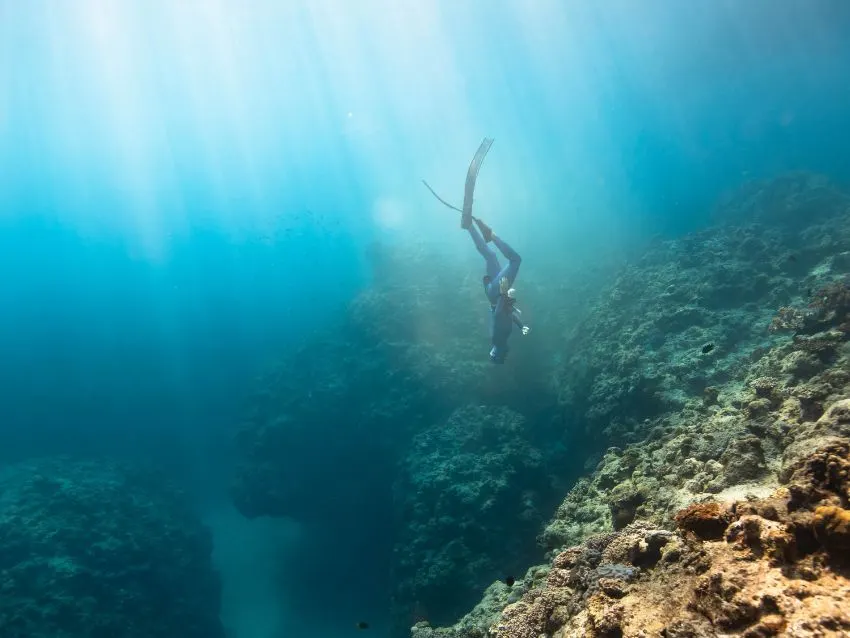 Person Swimming Underwater