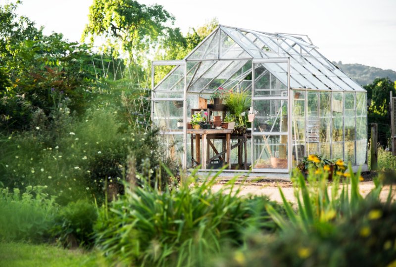 plants and flower pot placed on the table in greenhouse