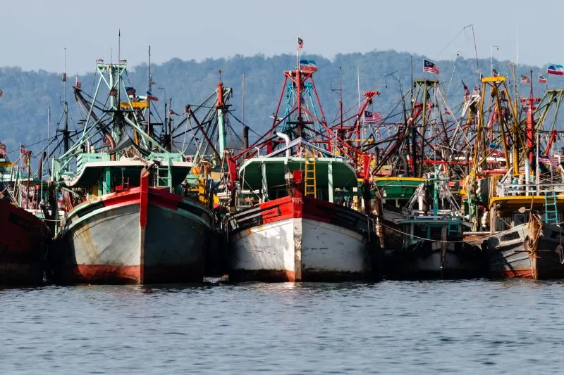 Fishing Vessels Traffic Jam