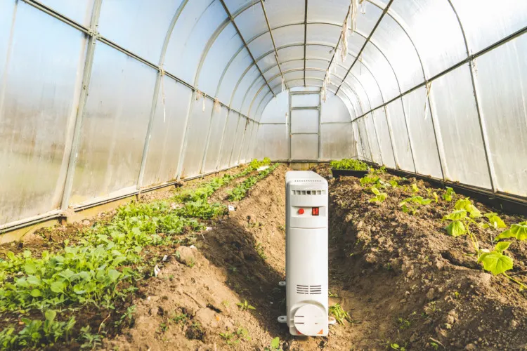 Greenhouse Heater