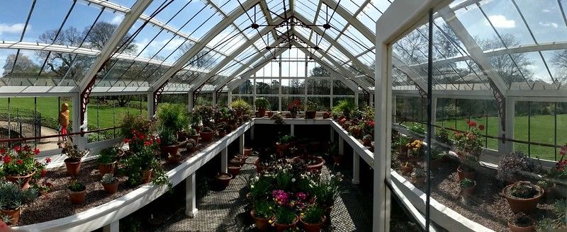 greenhouse in a glass wall