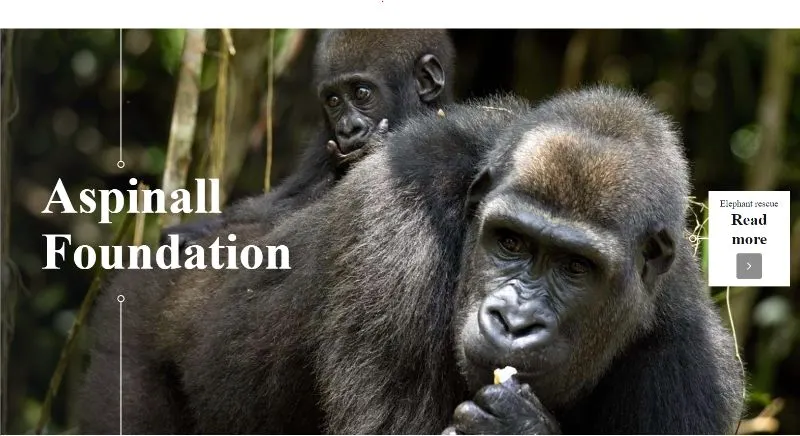The Aspinall Foundation 1 Homepage of Aspinall Foundation