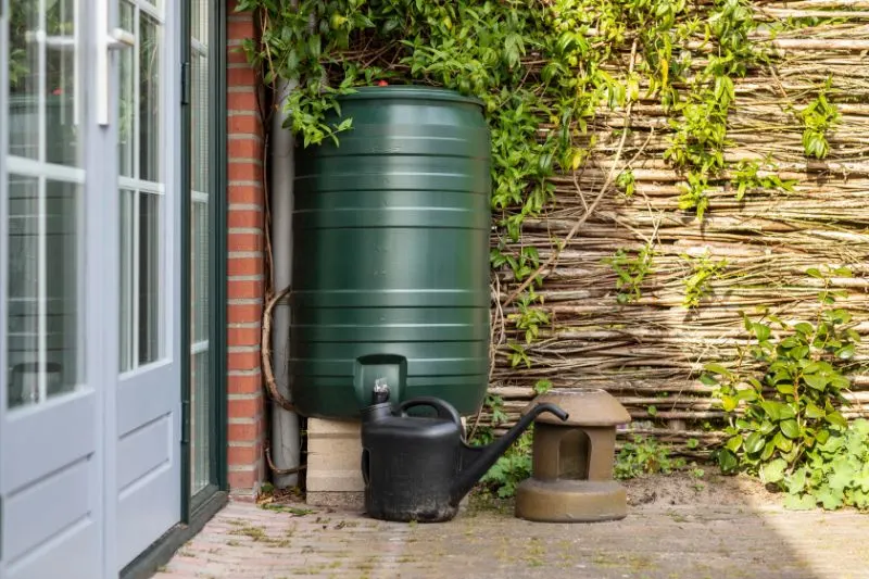 Green Rain Barrel