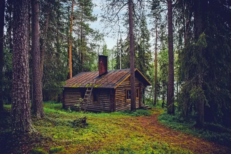Breaking Down the Best Off-Grid Water Systems 13 Cabin in the Woods