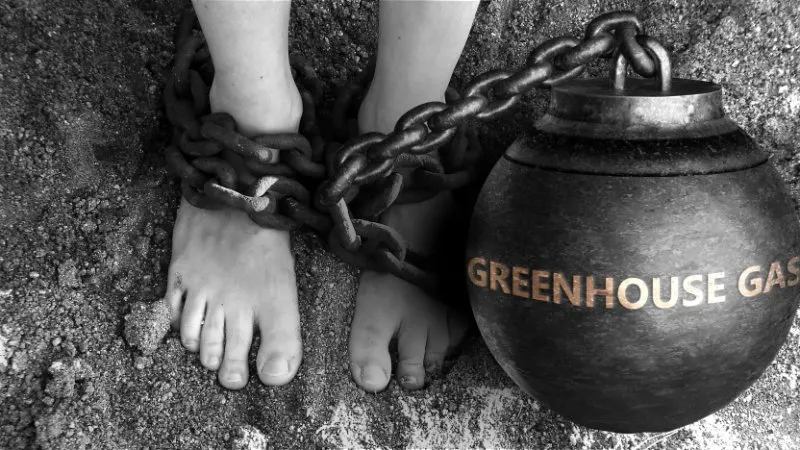 Are Greenhouses Bad for the Environment? 2 Cannonball, chain tied to the legs