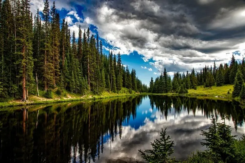 Lake Surrounded with Conifer Trees
