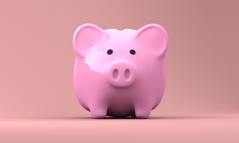 Pink Piggy Bank