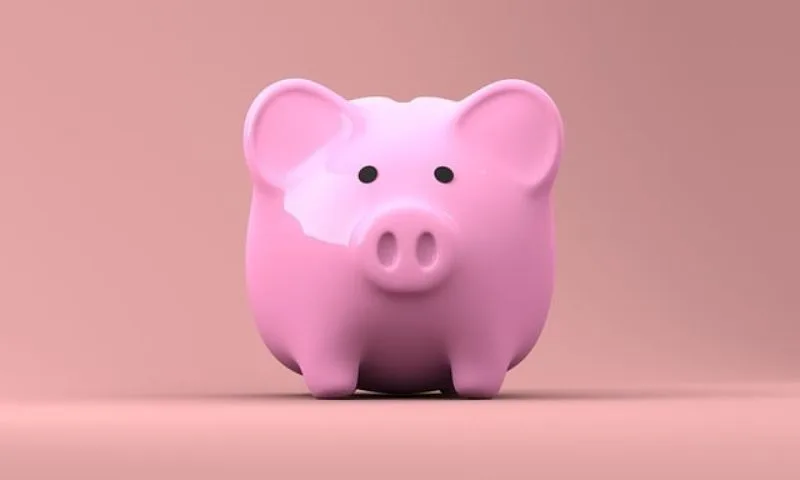 Breaking Down the Best Off-Grid Water Systems 27 Pink Piggy Bank