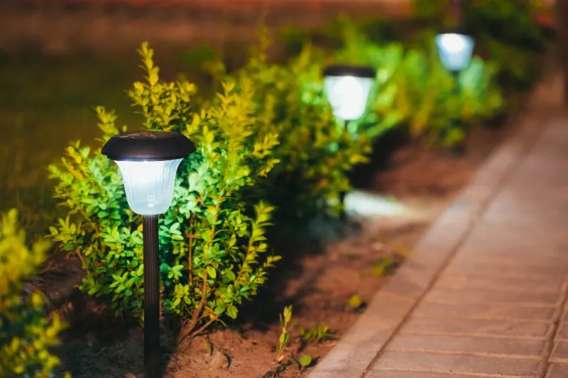 Solar Drive Lights