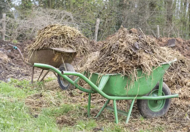 Agricultural residues on a wheel  barrow