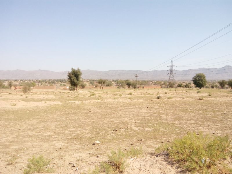 Barren Land