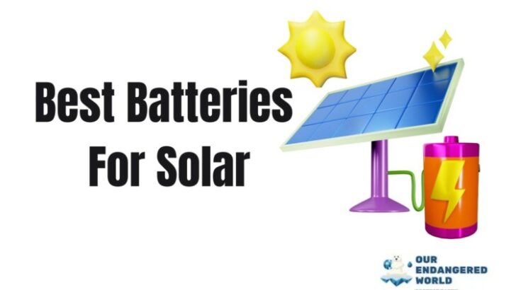 Best Batteries For Solar