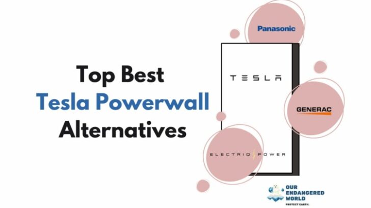 Top Best Tesla Powerwall Alternatives