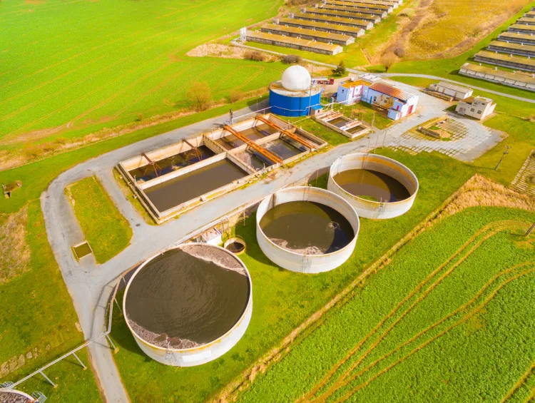 11 Different Types of Biomass To Know 1 Aerial view to biogas plant from pig farm in green fields. Renewable energy from biomass.
