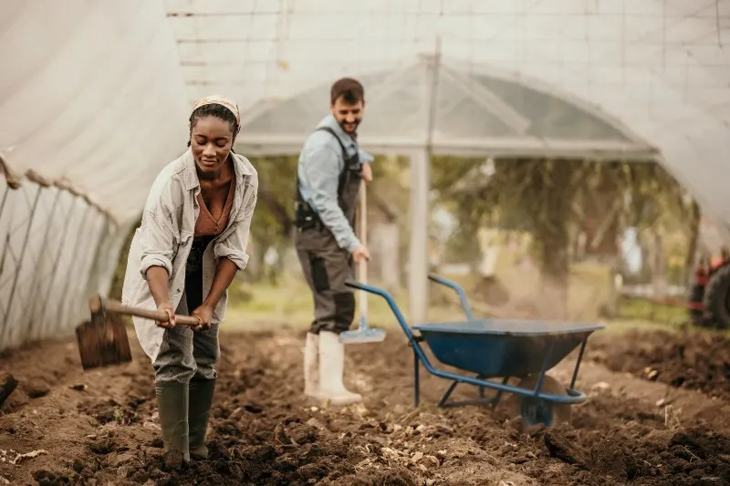 young female farmer working in their greenhouse.