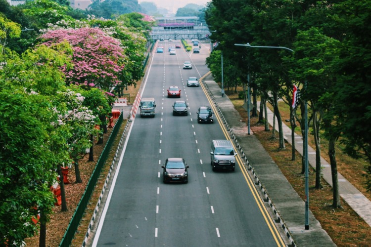 Cars in the street