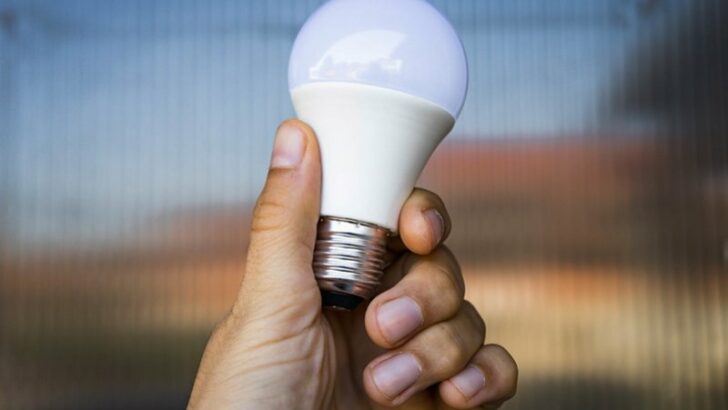 Close Up on a LED Light Bulb in the Hand