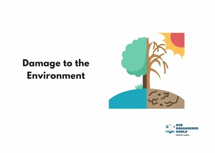 9 Important Pros and Cons of Offshore Drilling 5 Damage the Environment Graphics