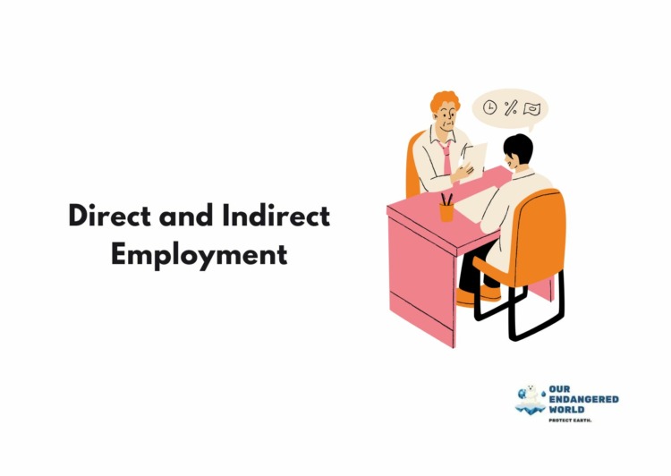 Direct and Indirect Employment Graphics