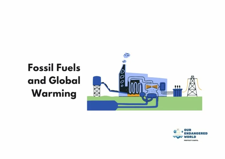 Fossil Fuels and Global Warming Graphics