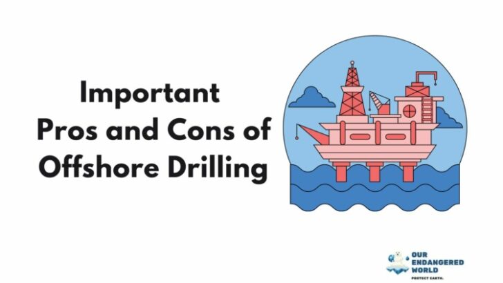 Important Pros and Cons of Offshore Drilling