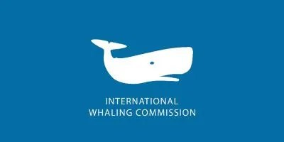 Whale Hunting: Is It Bad for the Environment? 8 International Whaling Commission