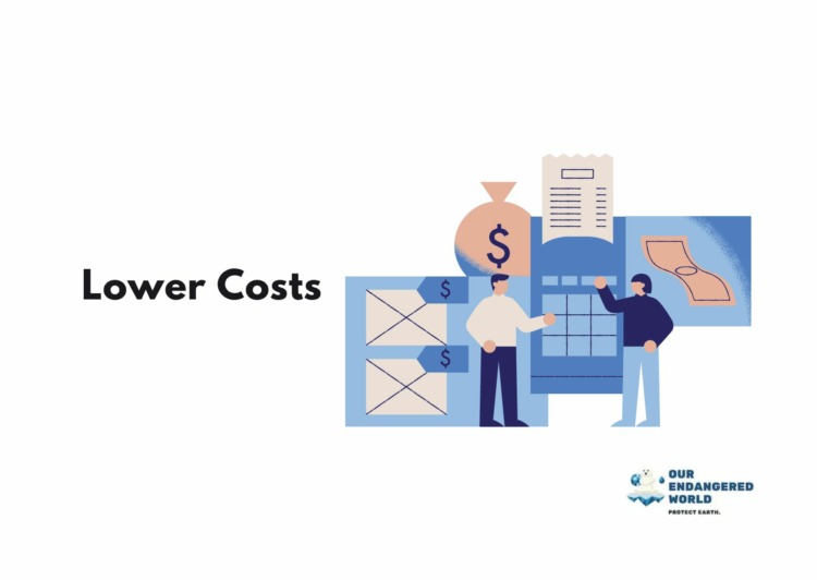 Lower Costs Graphics